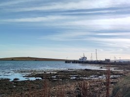 Seals lying on the shore and a small ferry waiting at a pier in the background 