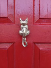 cat knockers.jpg