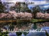 Country calling codes album.jpg