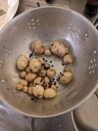 A colander with a very small amount of very small potatoes in