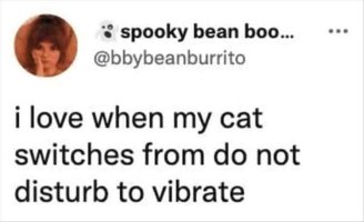 vibrocat.jpg