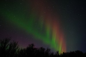 aurorae_01.jpg