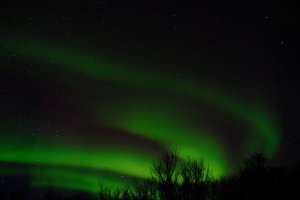 aurorae_02.jpg