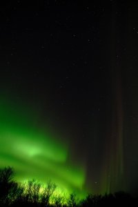 aurorae_03.jpg