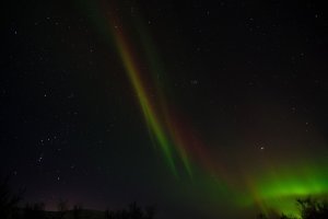 aurorae_04.jpg