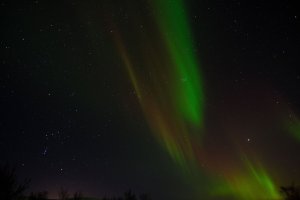 aurorae_05.jpg