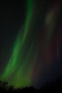 aurorae_06.jpg