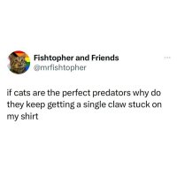 claw.jpg