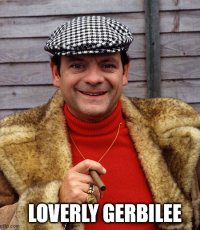 Delboy Loverly Gerbilee.jpg