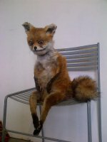 bad-taxidermy-fox.jpg