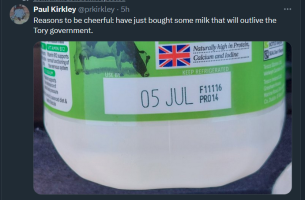 Picture of milk carton with use by 5 July.   Captioned Reasons to be cheerful: have just bought some milk that will outlive the Tory government.