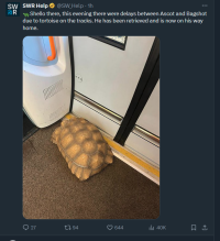 South Western Trains tweet - Shello there, this evening there were delays between Ascot and Bagshot due to tortoise on the tracks. He has been retrieved and is now on his way home.