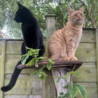 Dobey and Trafford on plinth.jpg