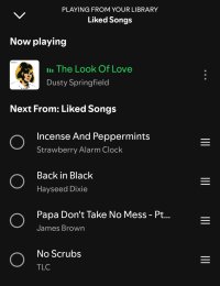 Screenshot_20240902_154320_Spotify (1).jpg