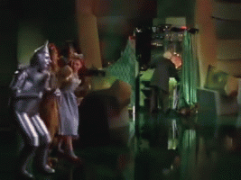 WIZARD OF OZ REVEALED.gif