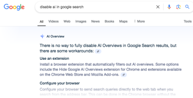 Screenshot 2024-10-06 at 00-50-47 disable ai in google search - Google Search.png