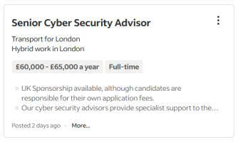 senior cyber security adviser job advert