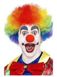 Clown-Wig.jpg