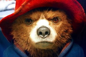 Paddington gives a hard stare. 