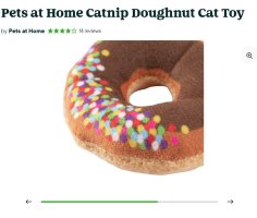 Doughnut Toy.JPG