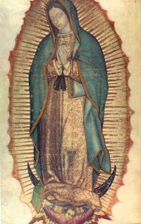 12-12-Our-Lady-of-Guadalupe.jpg