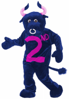 DHFC2ndBull.png