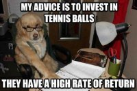 invest-in-tennis-balls.jpg