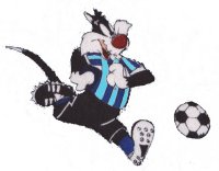 footy kitty 3.jpg