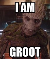 Groot.jpg