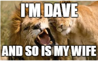 Dave.PNG