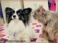 watermarked-Charlie and Breeze, 26 Oct 15-001.jpg