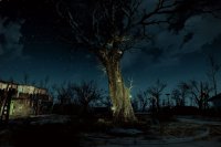 Fallout4 2015-12-09 01-02-07_2560_l3.jpg