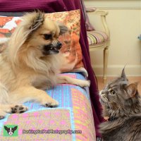 watermarked-Ella and Breeze-001.jpg