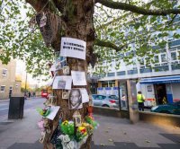 1385394270-ricky-bishop-memorial-tree-in-brixton-london_3330801.jpg