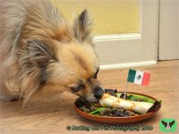 watermarked-Ella Burrito 2.jpg