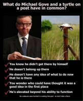 gove.jpg