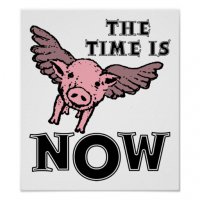 pigs_fly_now_funny_poster-r89c95e74ed6848ed8f467fe82046cc53_xrq3h_8byvr_512.jpg