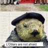 l'Otters