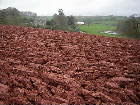 red_earth_450x338.jpg