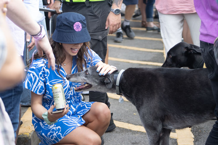 'The midfield is a mess' - Dulwich Hamlet lose at home to Hastings United , Sat 19th August 2023