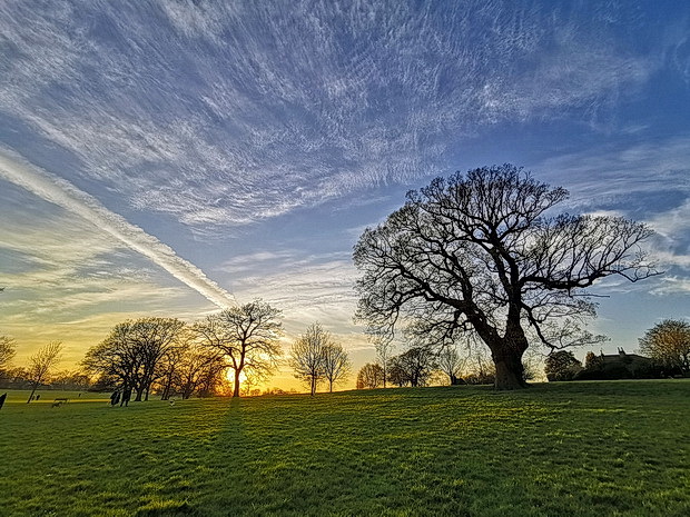 Brockwell Park photo feature: dramatic skies and a striking sunset , March 2020