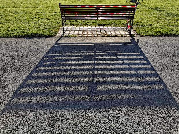 Brockwell Park, trees and shadows - photo feature, April 2020