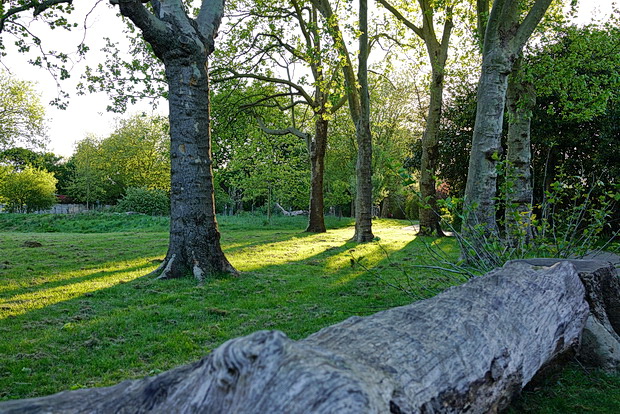 Tivoli Park - a small open space on the top of Knight's Hill. West Norwood, SE27