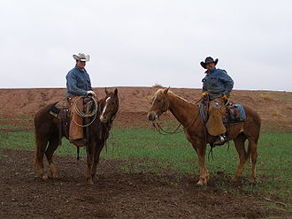 330px-Texascowboys2.jpg