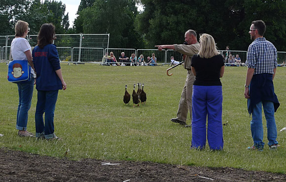 lambeth-country-show-2010-43.jpg