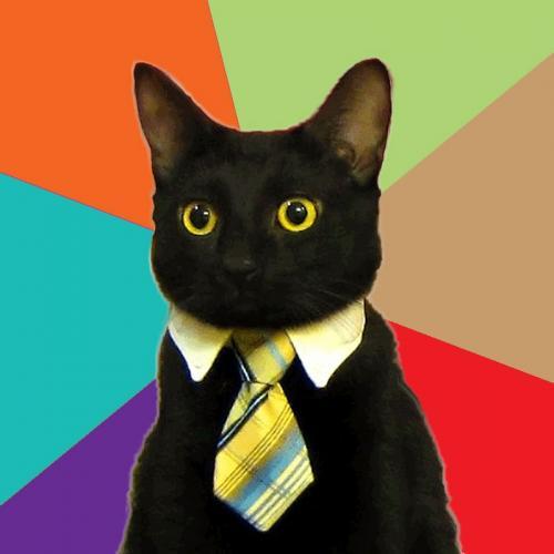 business-cat.jpg