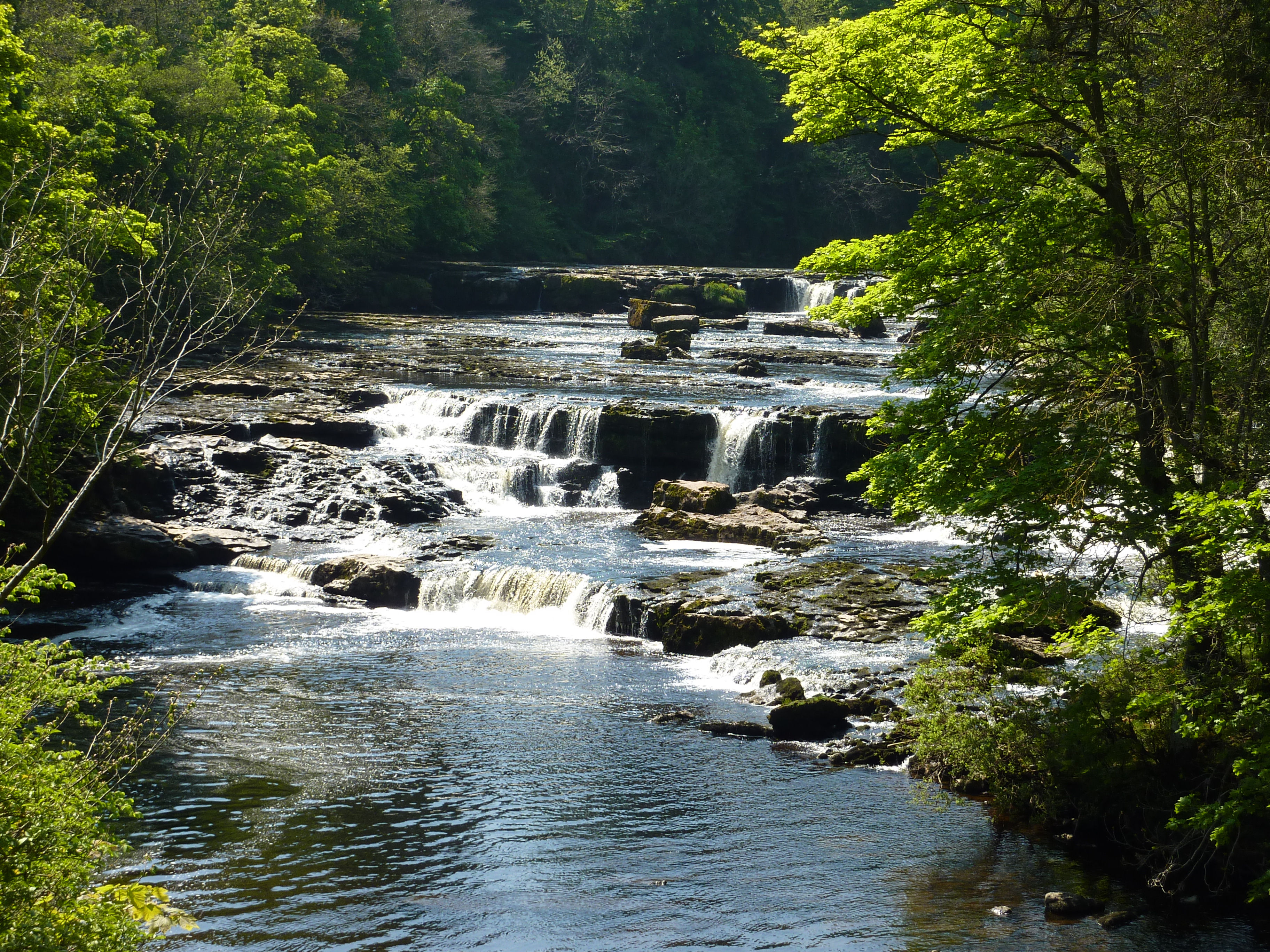 Aysgarth_High_Force.JPG