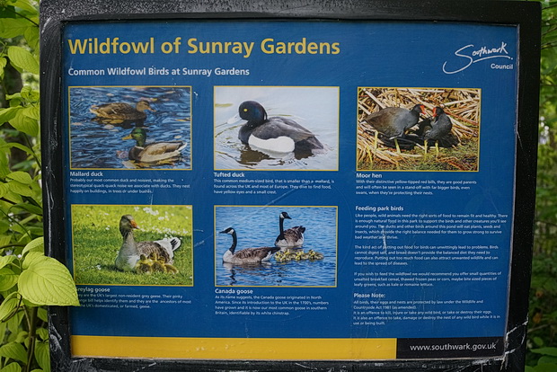 In photos: Sunray gardens, a small park with a lake in Herne Hill, London SE24