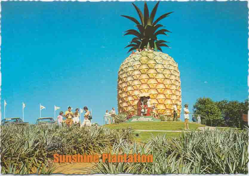 A giant pineapple in Nambour, Australia