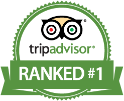 tripAdvisorLogo.png